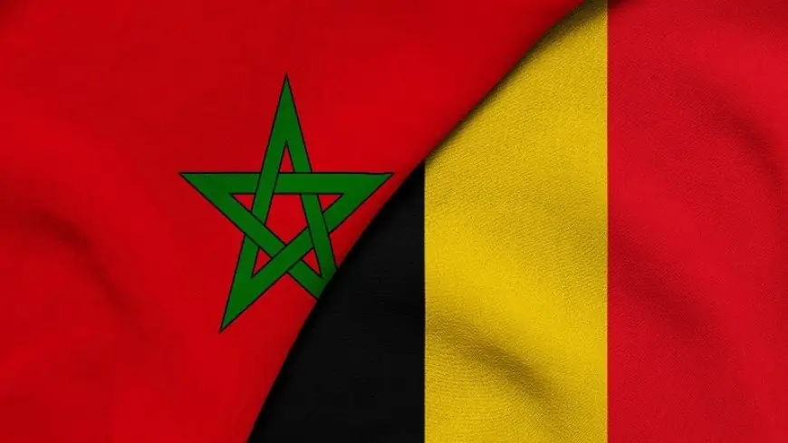 المغرب وبلجيكا يجددان التزامهما بتعميق “شراكة استراتيجية مهيكلة”